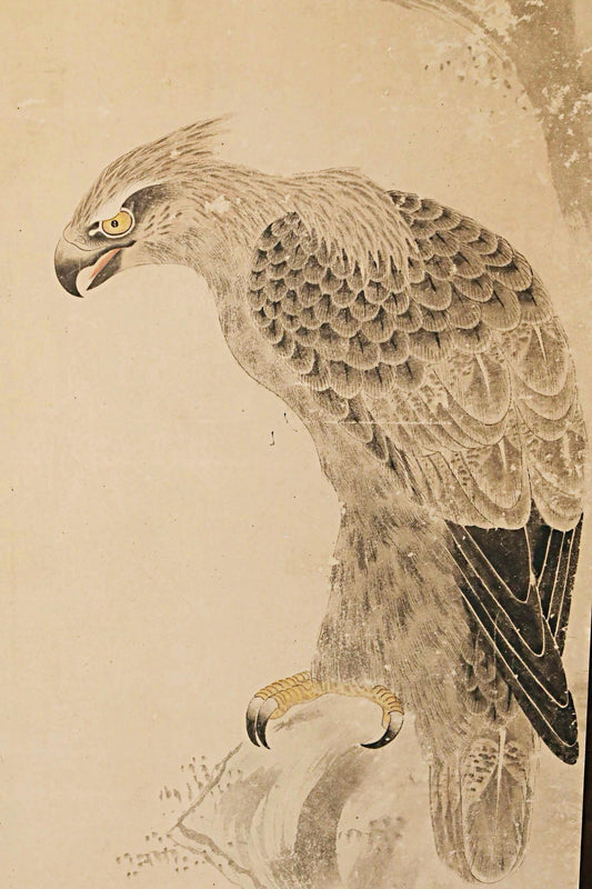 A detailed illustration of a bird of prey, likely a hawk or falcon, perched on a branch. The bird's sharp gaze and intricate feather patterns are the focal points of the image.