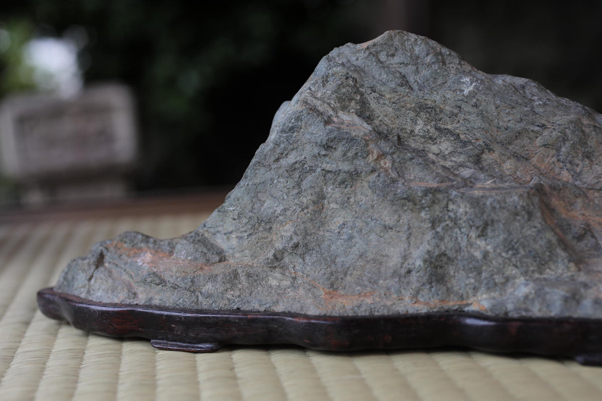 A close-up image of a large, gray rock on a wooden base, with a blurred background.