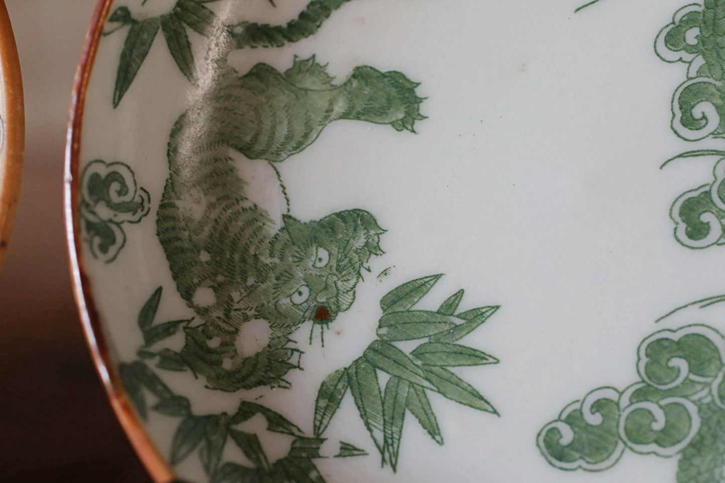 A close-up view of a decorative plate with a green tiger design.