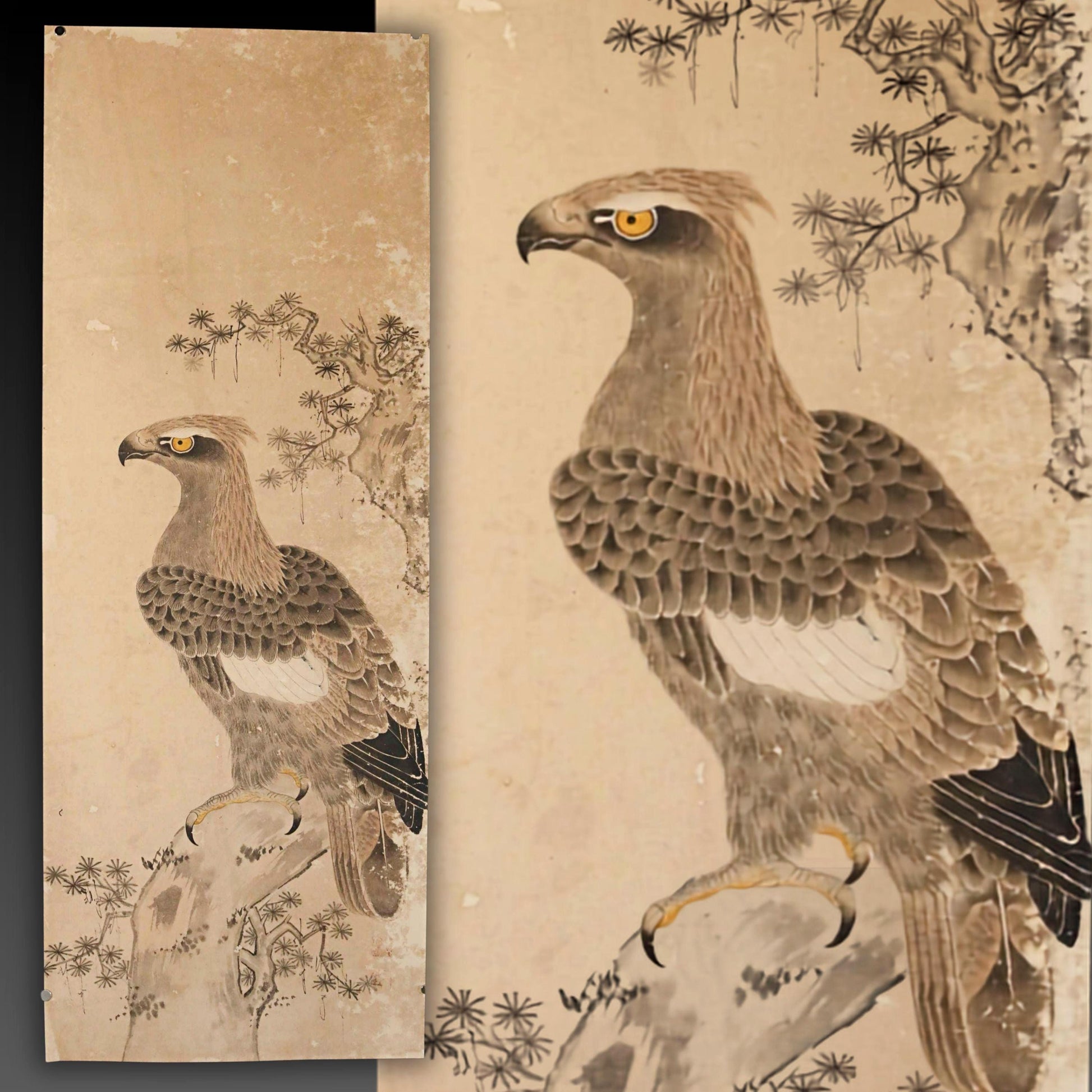 a large bird, possibly a hawk or an eagle, perched on a branch. The bird has a distinctive appearance with its sharp beak and talons, and it is surrounded by a natural setting with trees and foliage.