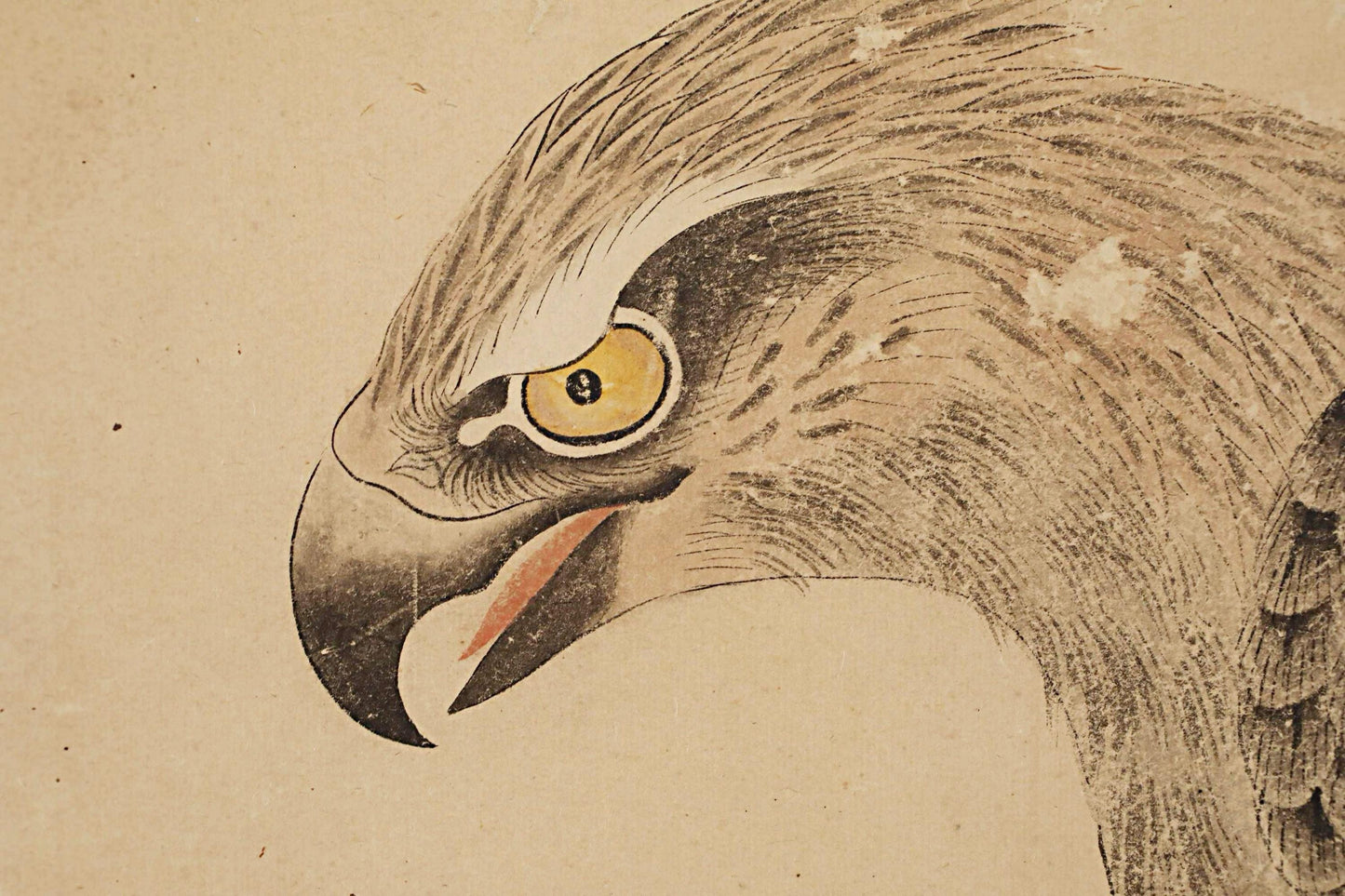 a close-up view of a bird's head, possibly a hawk or eagle, with a detailed and intricate depiction of its features, including its sharp beak and piercing yellow eyes.