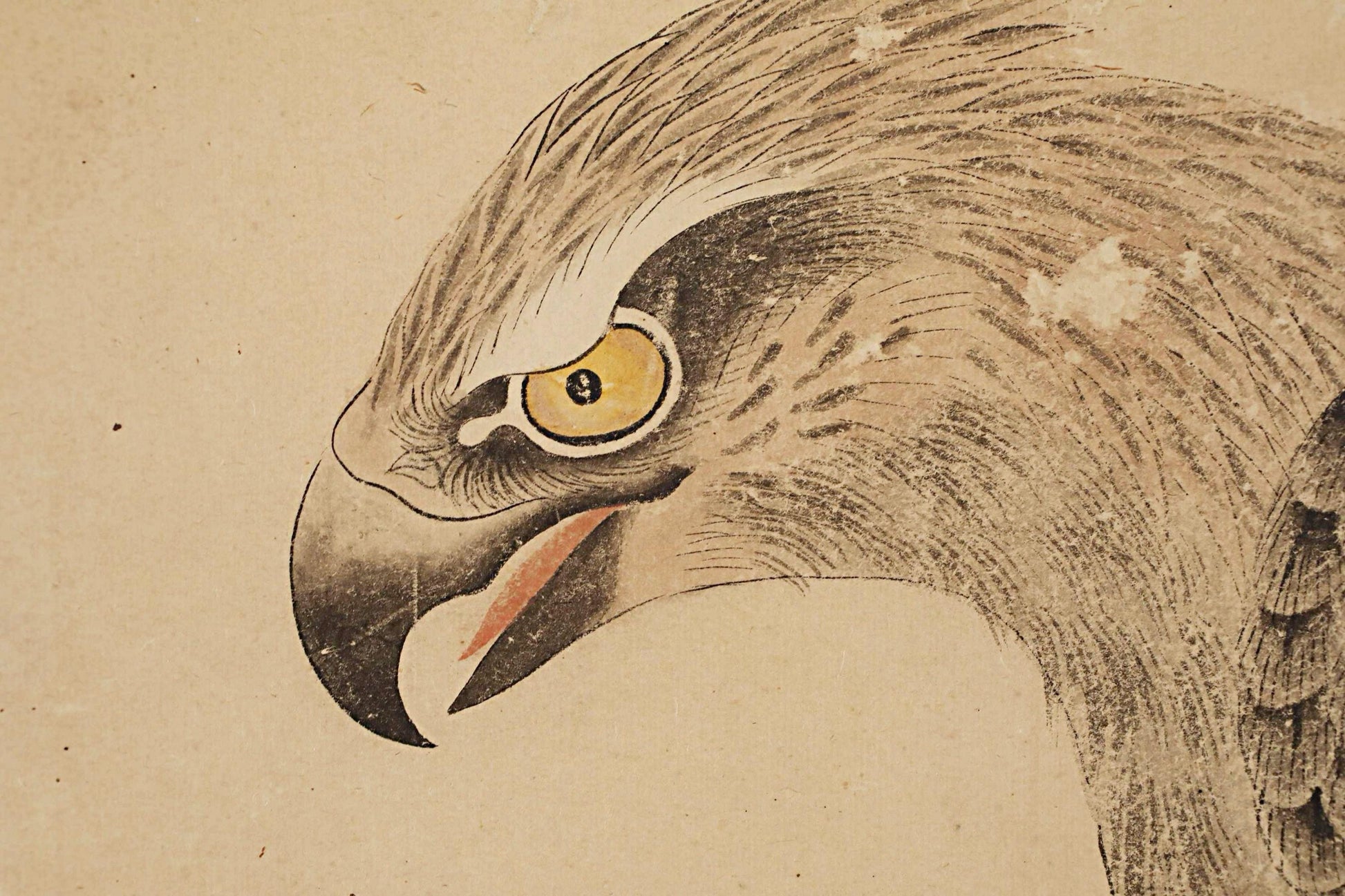 a close-up view of a bird's head, possibly a hawk or eagle, with a detailed and intricate depiction of its features, including its sharp beak and piercing yellow eyes.