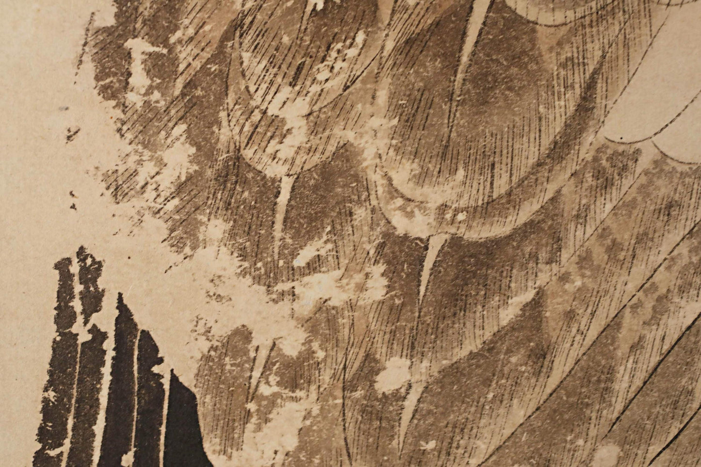 The image is a close-up of a textured surface with a pattern of lines and shapes, resembling the appearance of a bird's feathers or a piece of paper.
