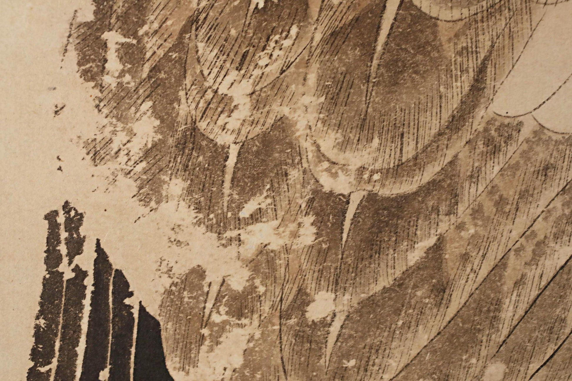 The image is a close-up of a textured surface with a pattern of lines and shapes, resembling the appearance of a bird's feathers or a piece of paper.