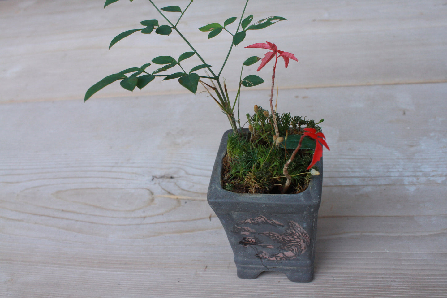 Mini Bonsai Pot - Japanese Vintage Matte Black Ceramic Square Planter with Kanji Signature