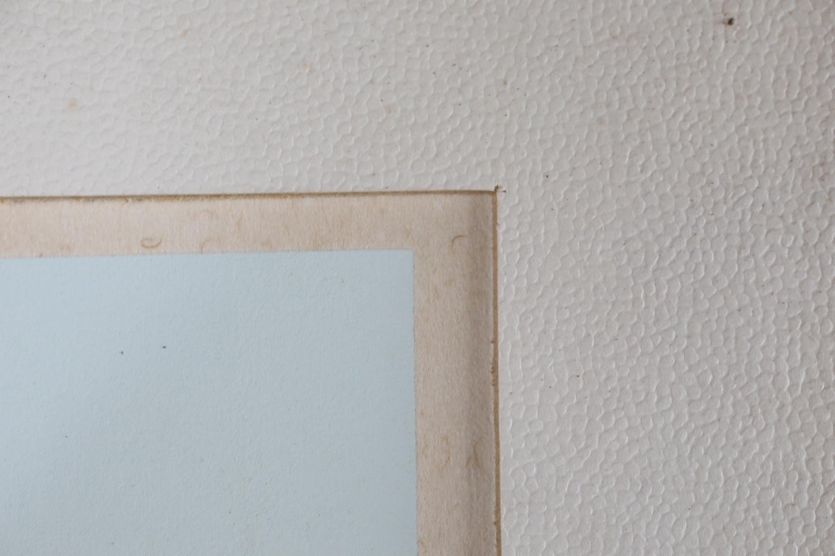 a close-up view of a white wall with a textured surface.