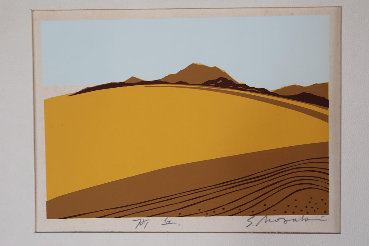 a landscape with a mountain range in the background and a field in the foreground.