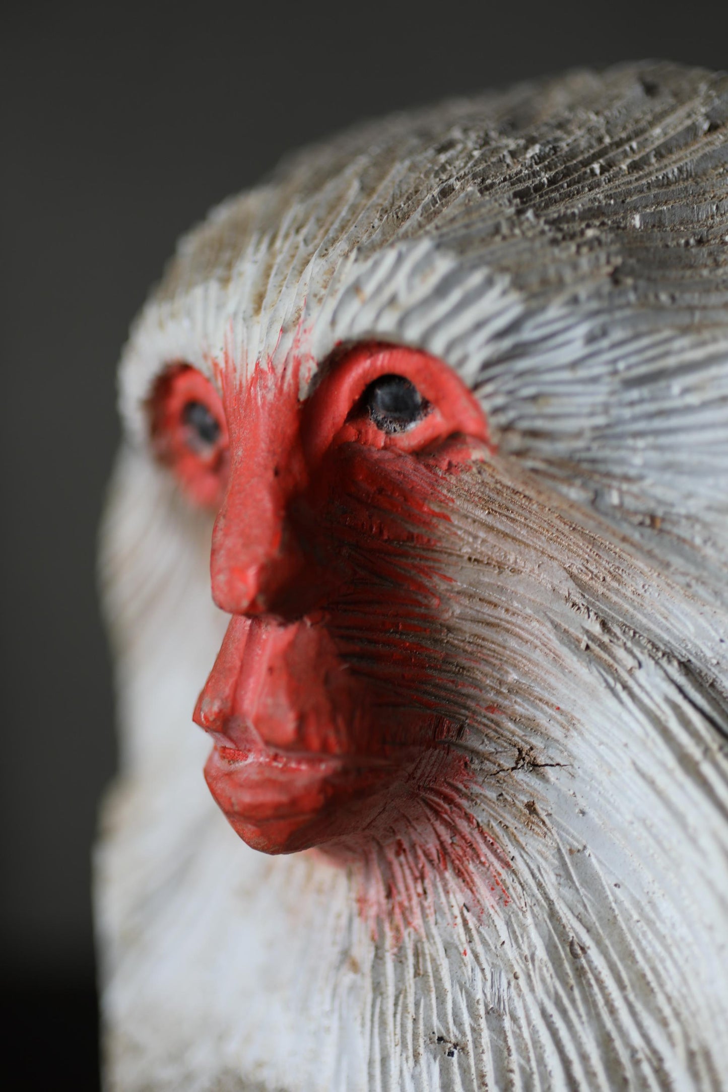 A close-up of a monkey's face, with its red eyes and white fur, is the main focus of the image.