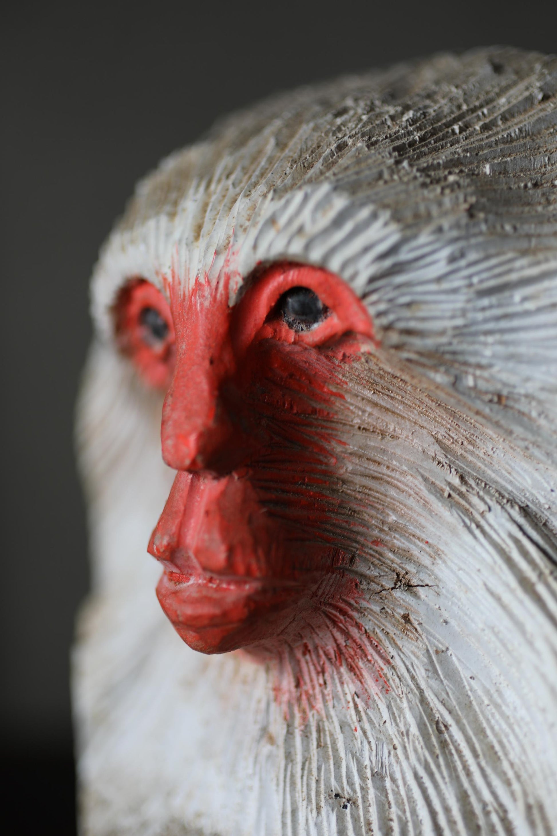 A close-up of a monkey's face, with its red eyes and white fur, is the main focus of the image.