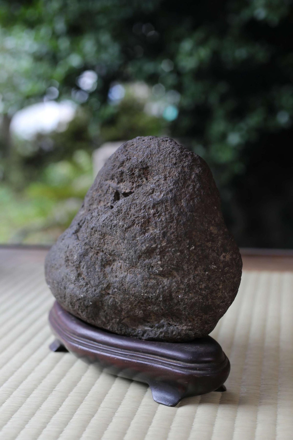A large, dark-colored rock sits on a wooden stand in a garden setting, surrounded by greenery.
