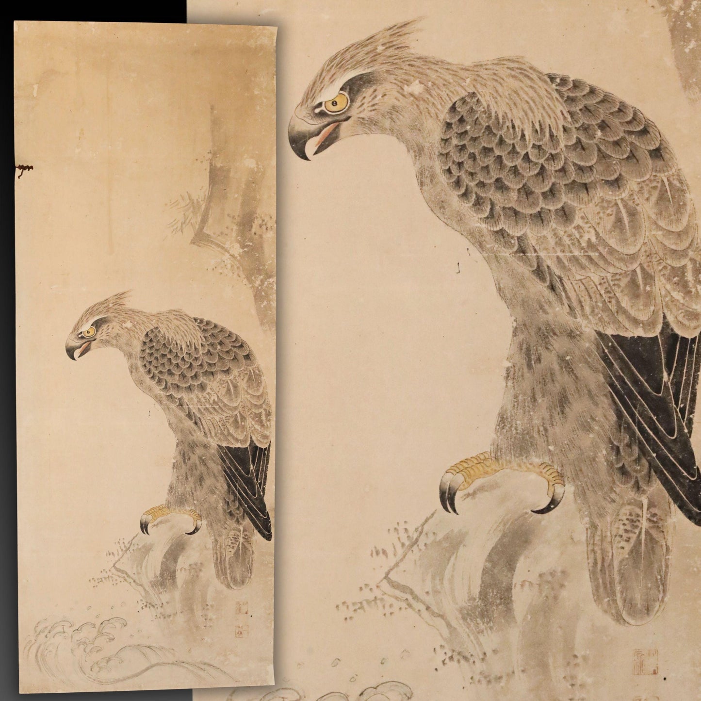 two large birds, possibly hawks or eagles, perched on branches or rocks. The birds have sharp talons and are facing different directions, creating a dynamic and engaging composition.