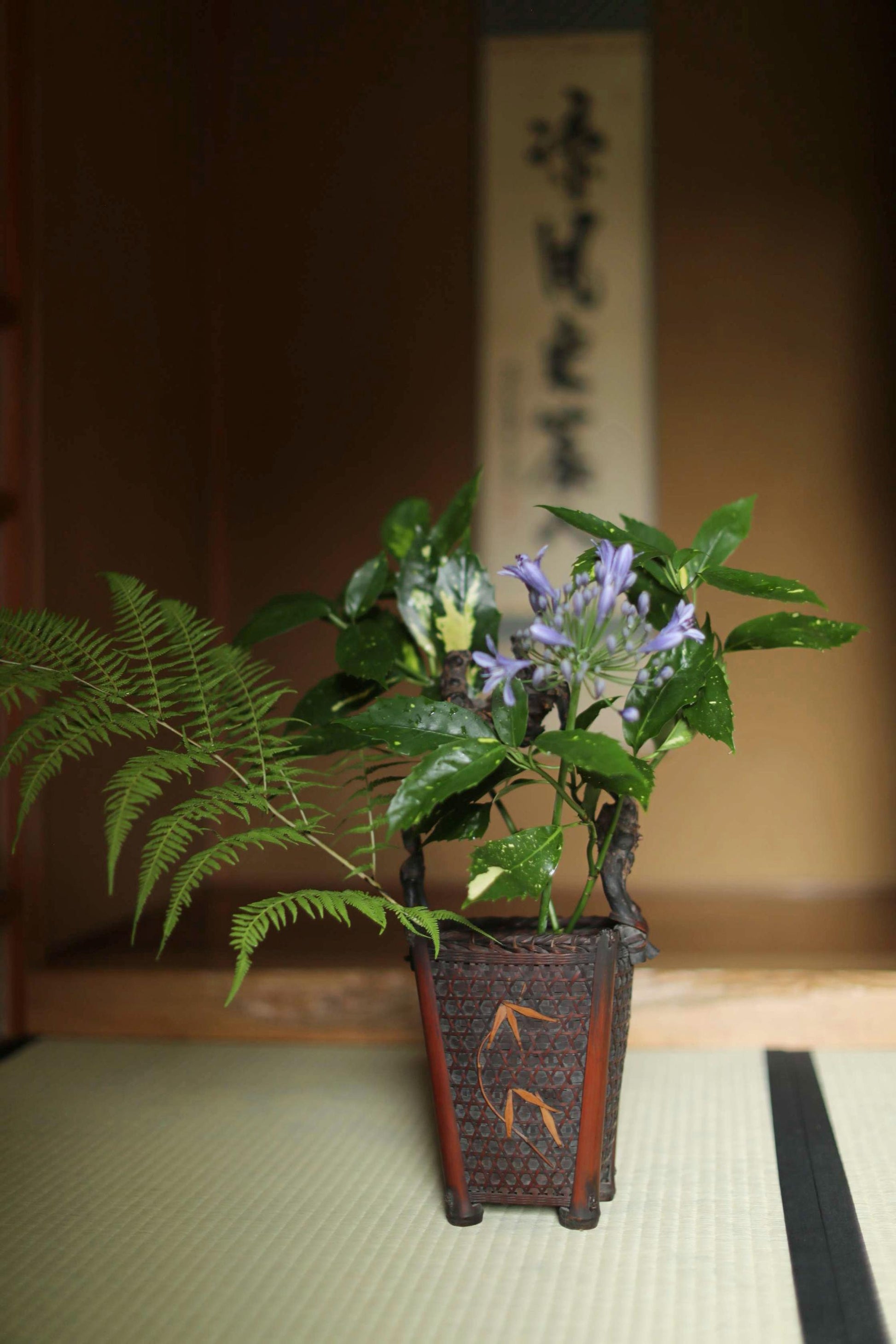 A potted plant with green leaves and purple flowers sits on a white mat, with a wooden wall and a banner with Japanese characters in the background.