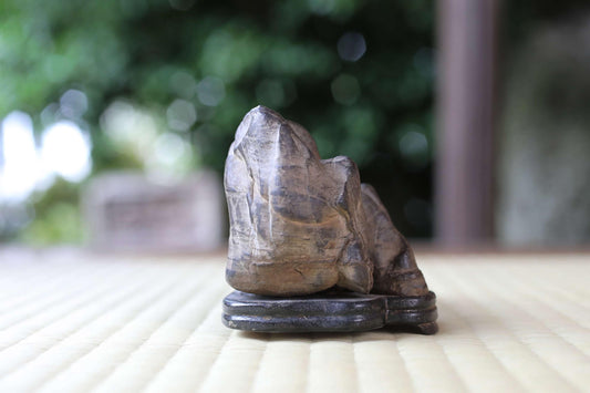 A close-up image of a stone or rock sculpture placed on a wooden stand, with a blurred natural background.