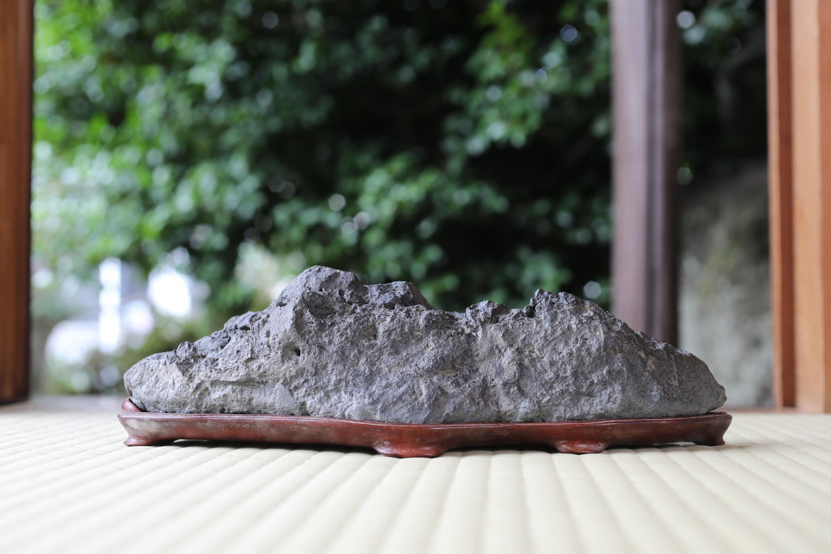 A large, gray rock sits on a wooden stand in a garden setting, surrounded by lush greenery.