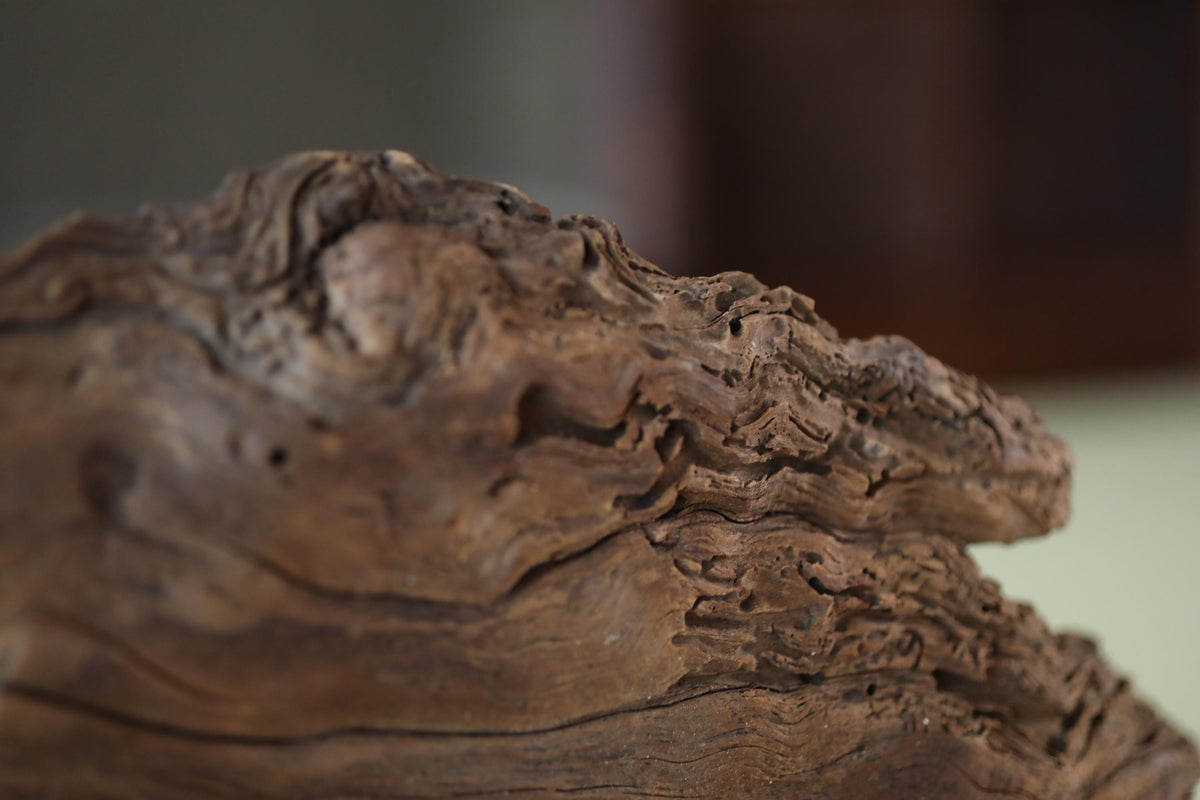 A close-up view of a weathered, textured piece of wood, possibly a piece of driftwood or a piece of driftwood art.