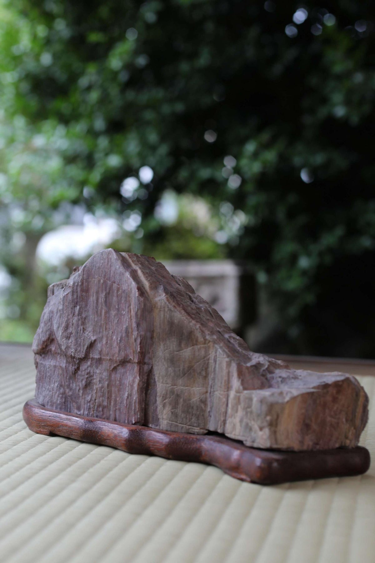 A large, irregularly shaped rock rests on a wooden base, set against a blurred natural background.