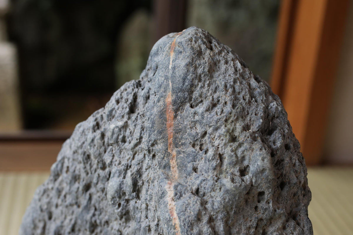 A close-up image of a large, gray rock with a striped pattern on its surface.