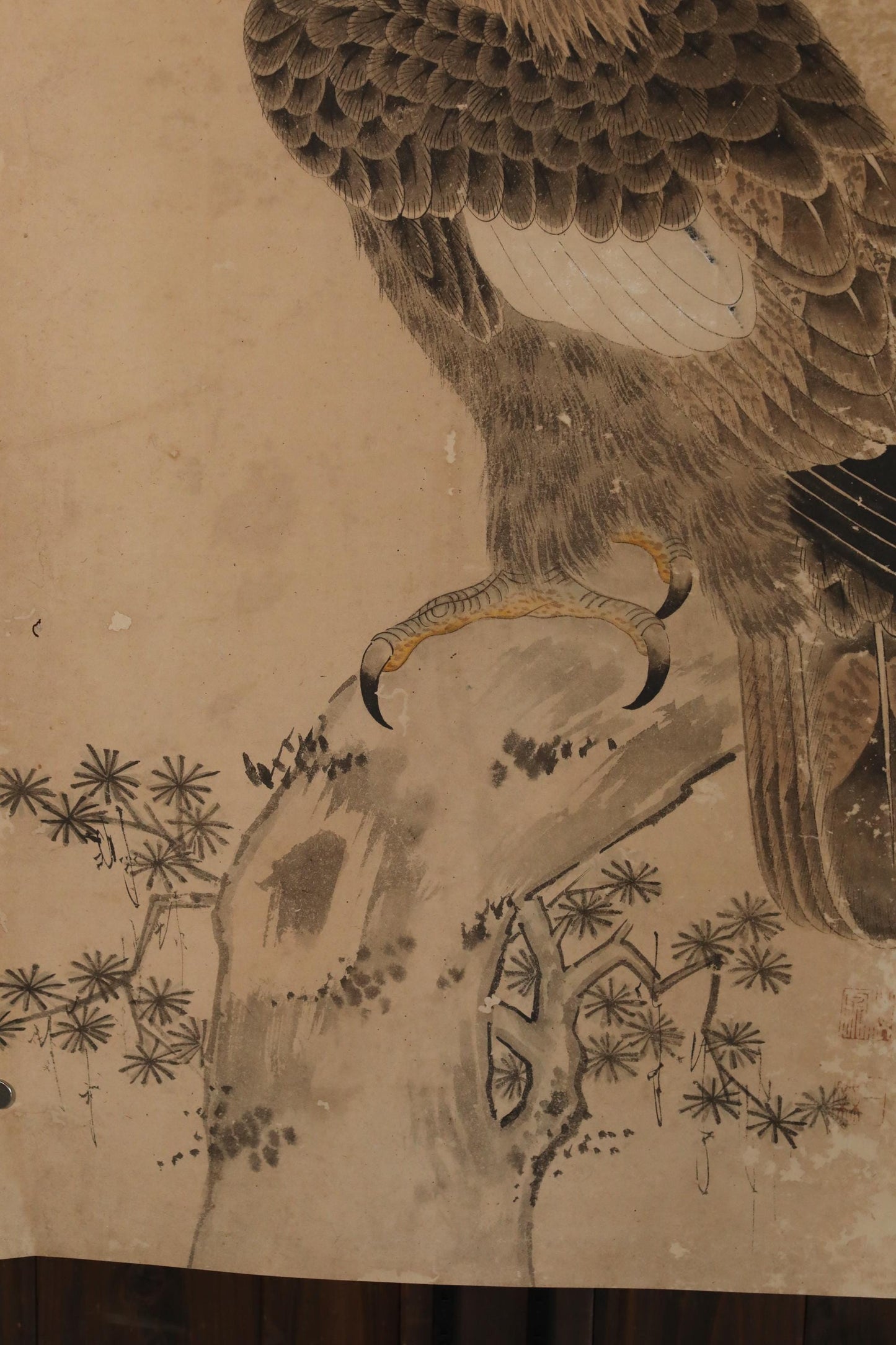 The image is a detailed drawing of a bird, possibly a hawk or an eagle, with intricate feather patterns and a detailed beak.