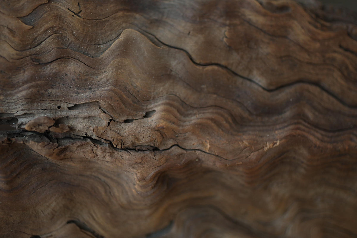 a close-up view of a textured, weathered surface with a rough, wavy pattern.
