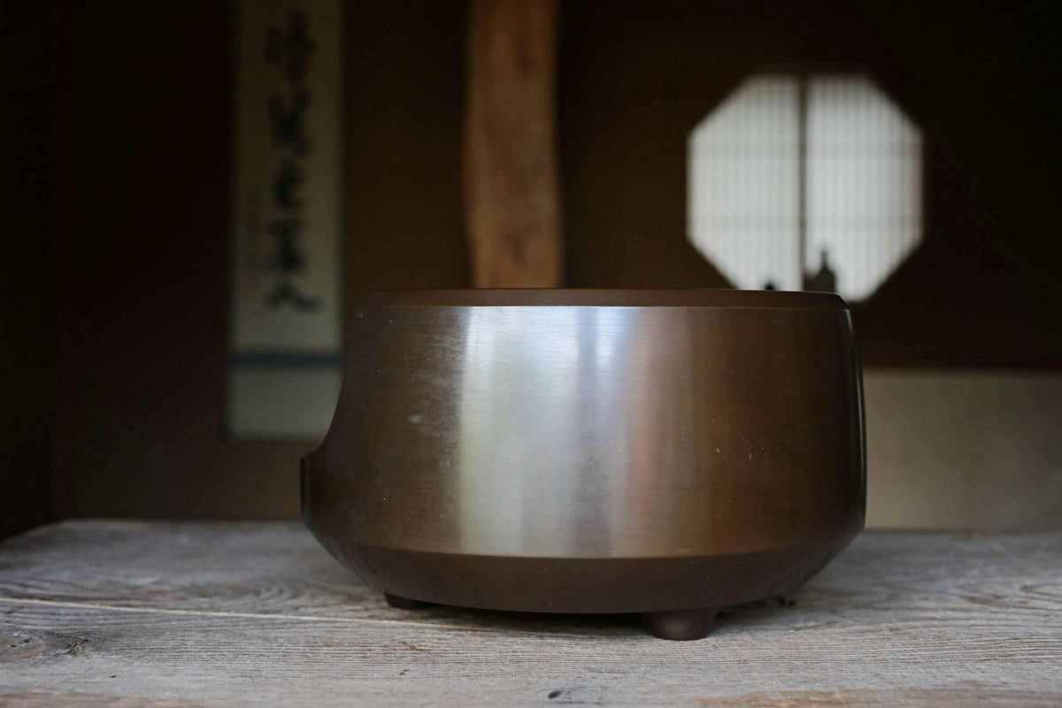 A shiny metal bowl sits on a wooden surface, with a window and a wooden beam visible in the background.