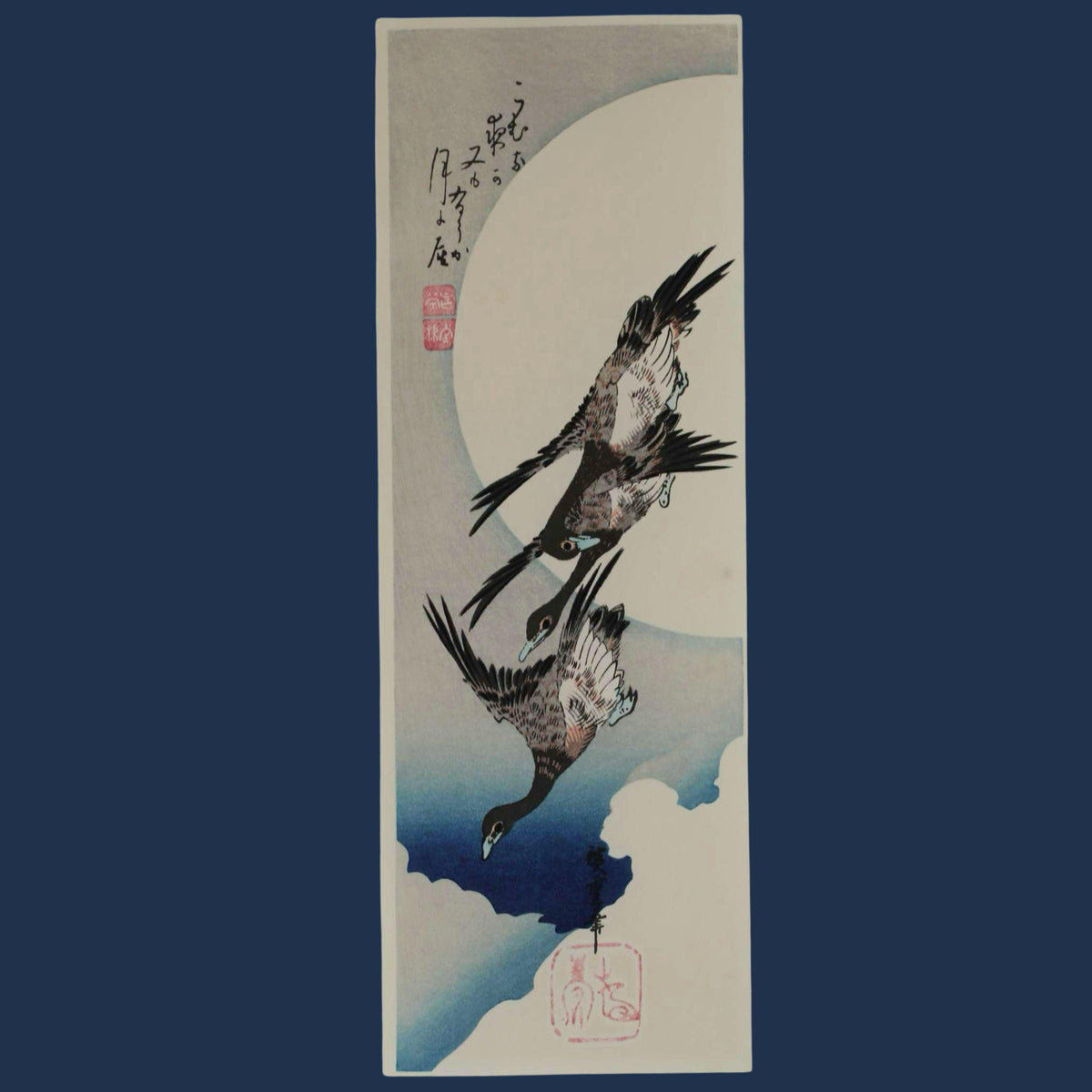 two birds in flight against a cloudy sky background.