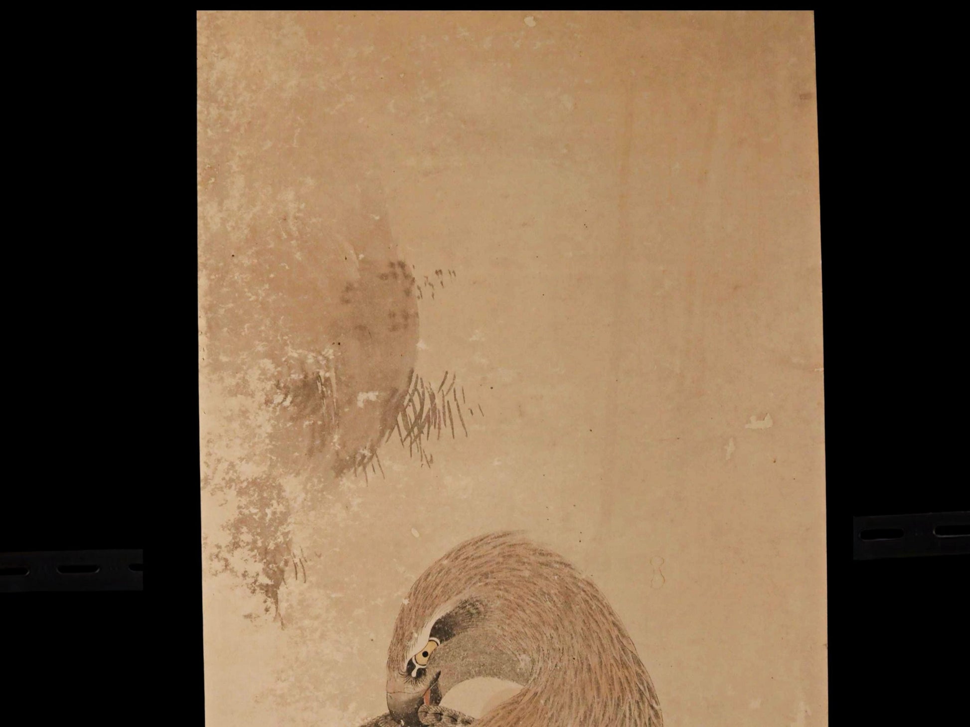 The image is a painting of a bird, possibly a hawk, with a textured background.
