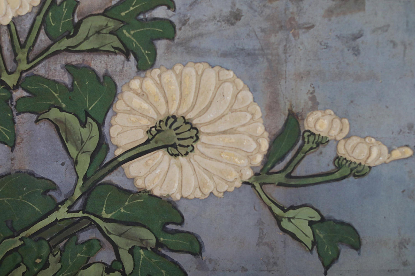 a close-up view of a white flower with green leaves, set against a blue background.