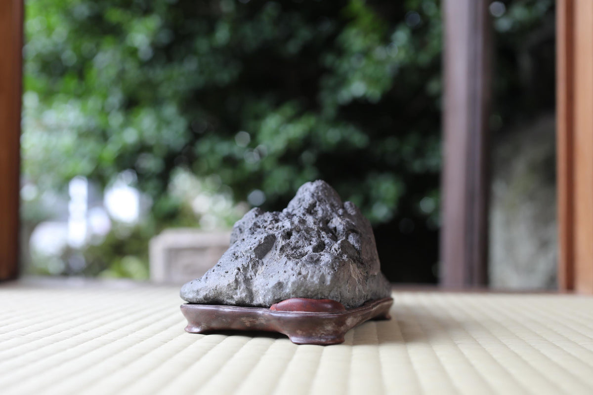 A large, gray rock sits on a wooden stand in a garden setting, surrounded by lush greenery.