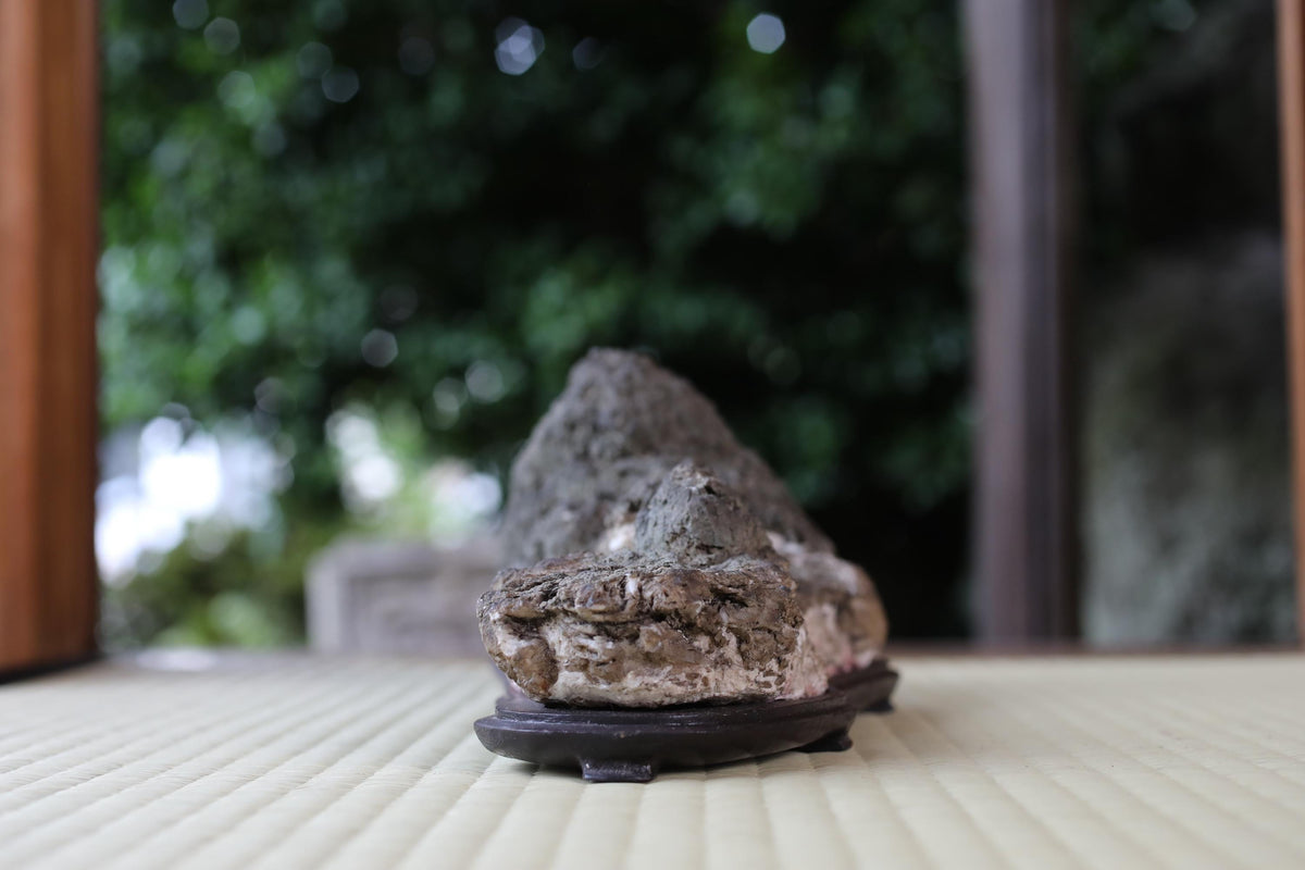 A close-up image of a rock formation on a wooden base, with a blurred natural background.
