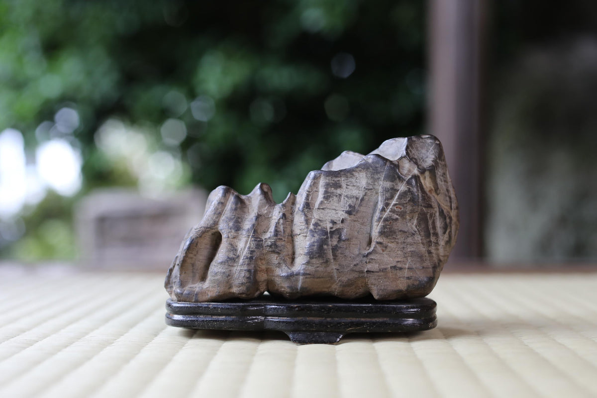 A close-up image of a rock or stone sculpture placed on a black stand, with a blurred natural background.