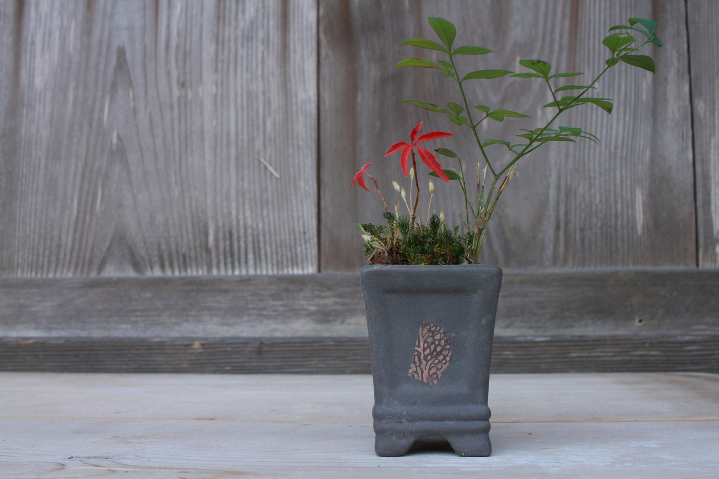 Mini Bonsai Pot - Japanese Vintage Matte Black Ceramic Square Planter with Kanji Signature
