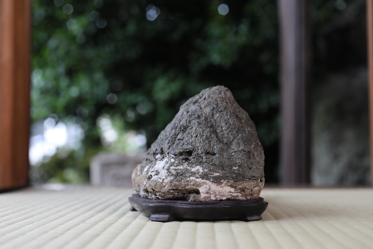 A large, rough-textured rock sits on a wooden stand in a garden setting, surrounded by greenery.