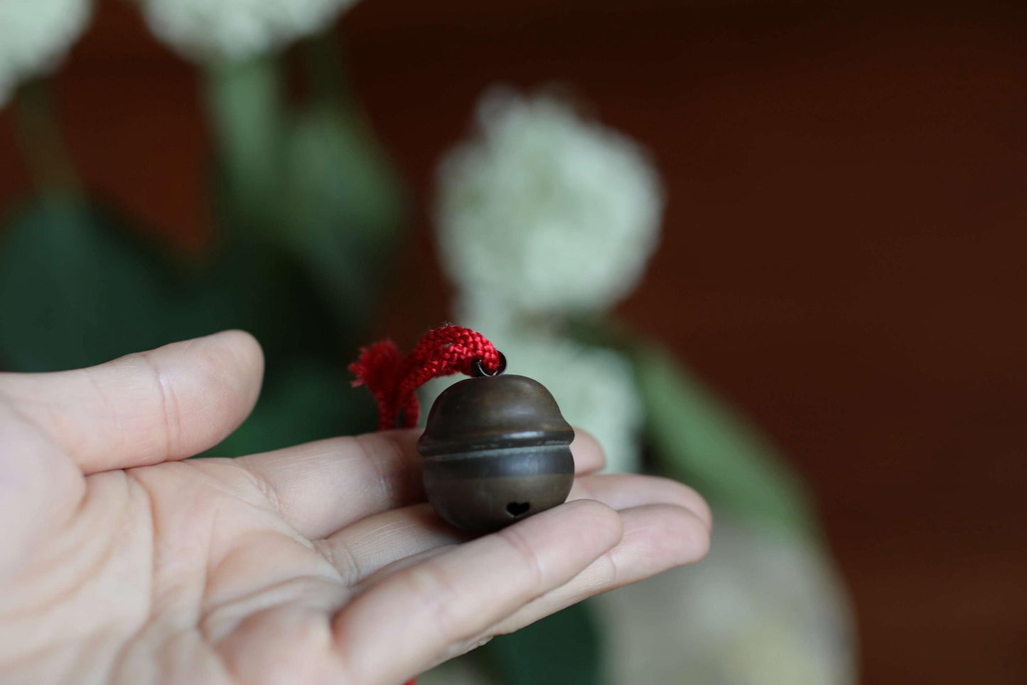 A hand holding a small, round, brown bell with a red string attached to it.