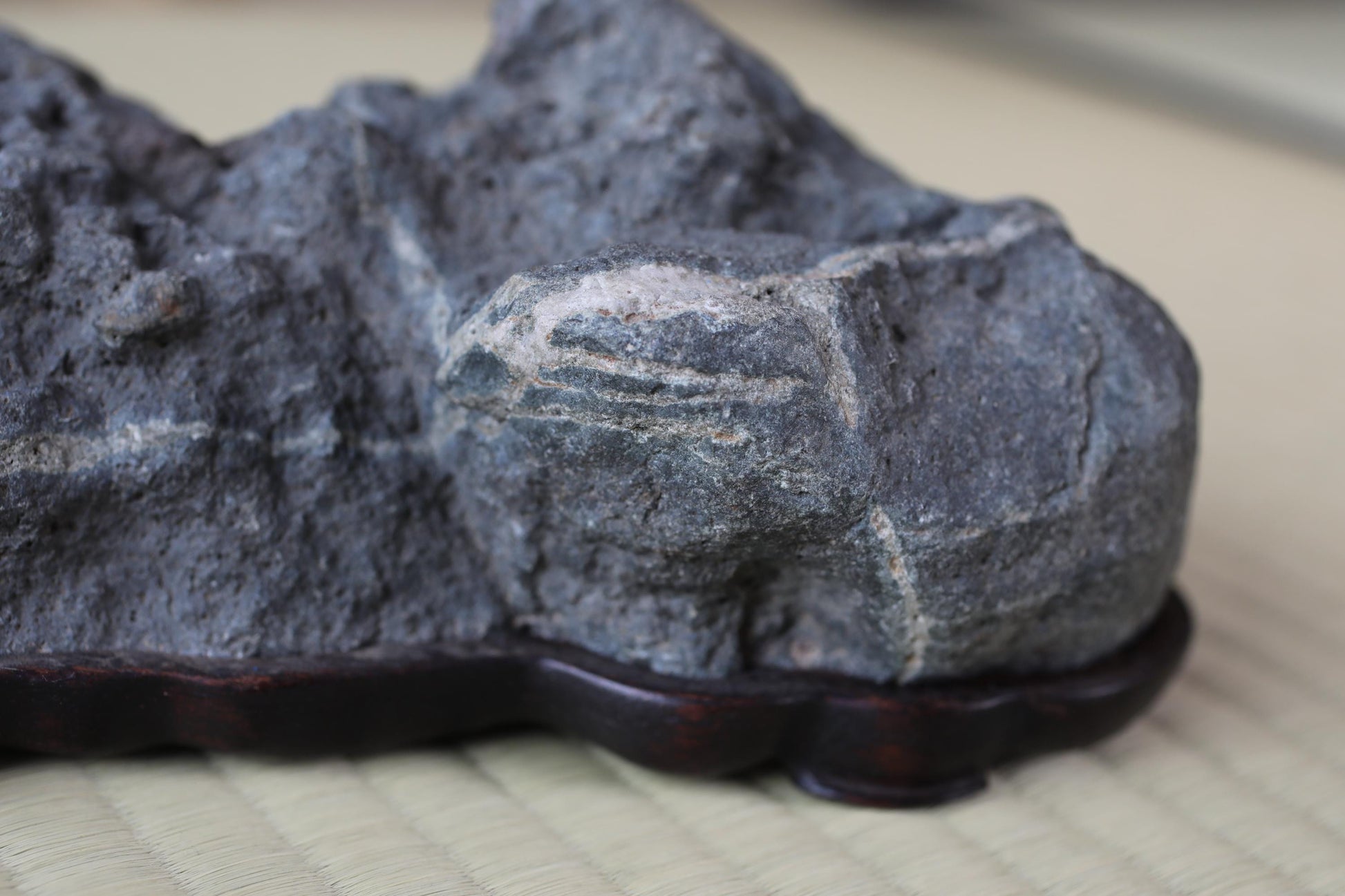 A close-up image of a gray rock with a rough, jagged surface, resting on a wooden base.