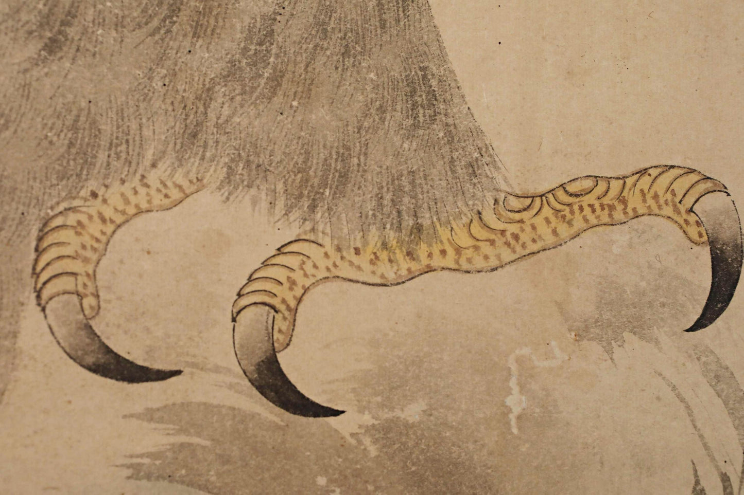 a close-up view of a bird's claw, with intricate details and textures.