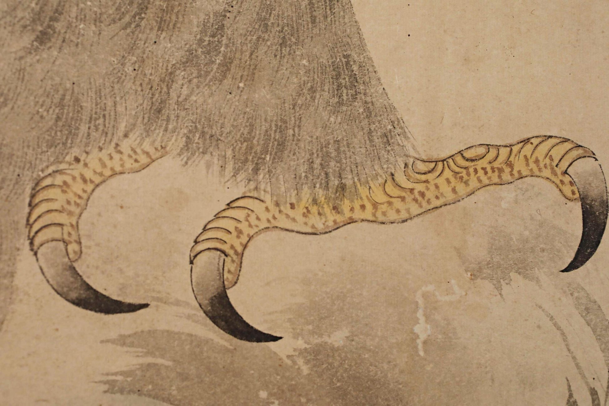 a close-up view of a bird's claw, with intricate details and textures.