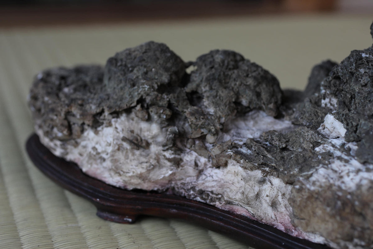 A close-up image of a rock formation with a rough, textured surface, resting on a wooden stand.