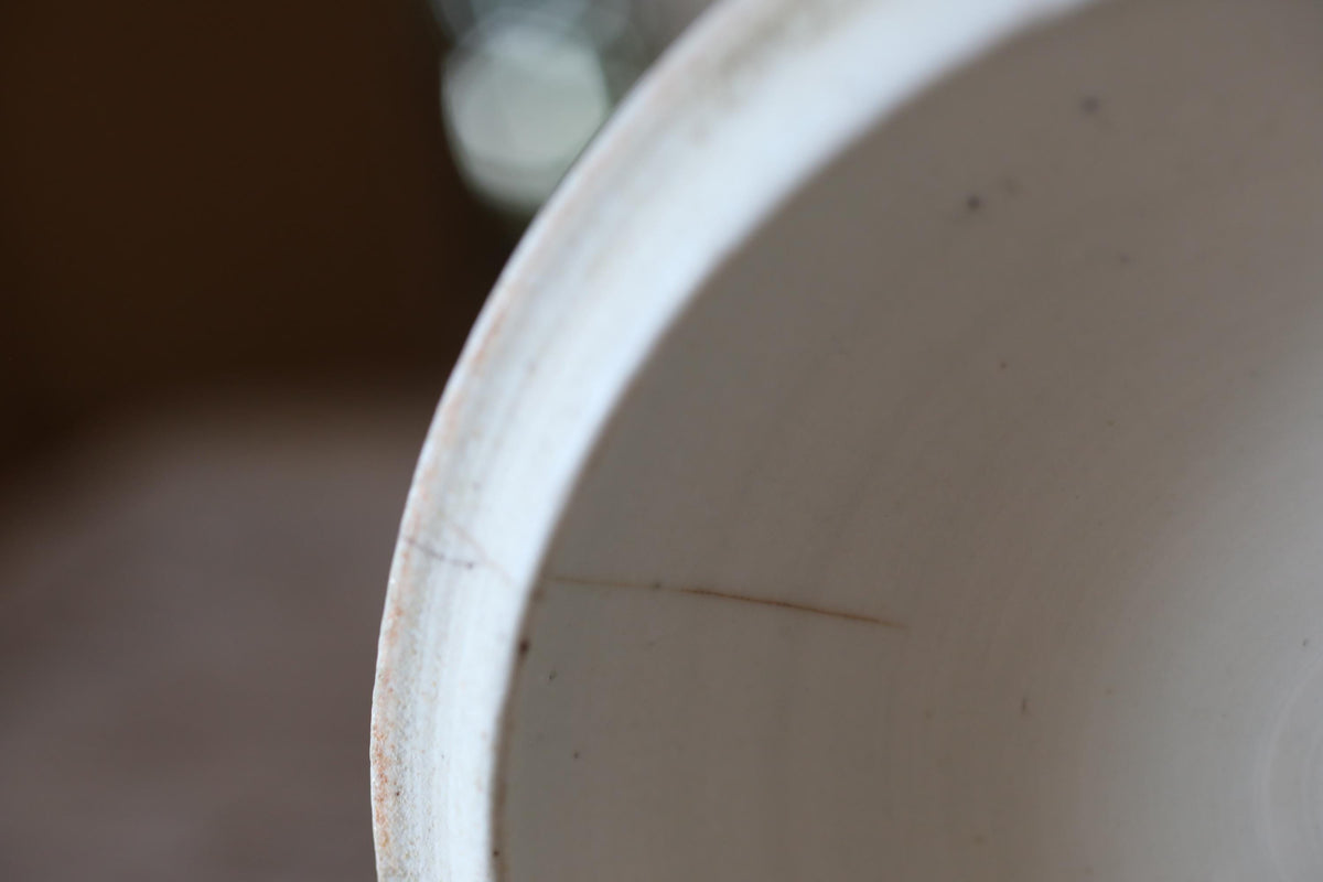A close-up view of a white ceramic bowl or dish, with a visible crack or chip on the rim.