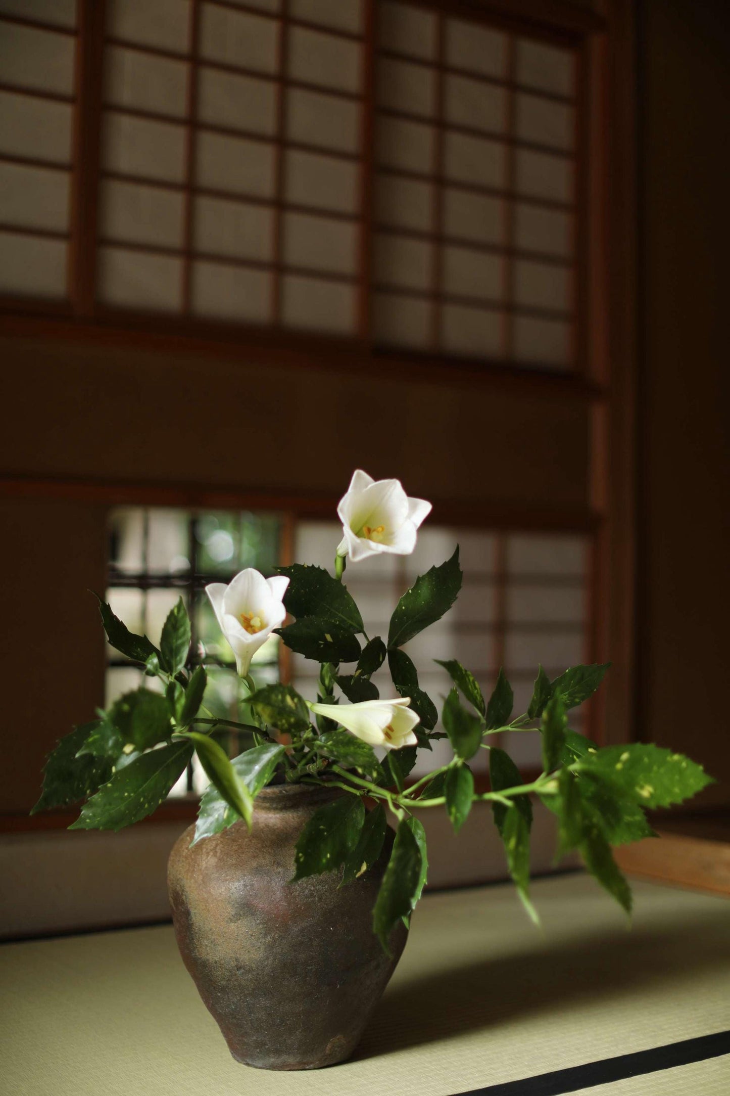 A vase filled with white flowers and green leaves sits on a table in front of a window with a wooden frame.