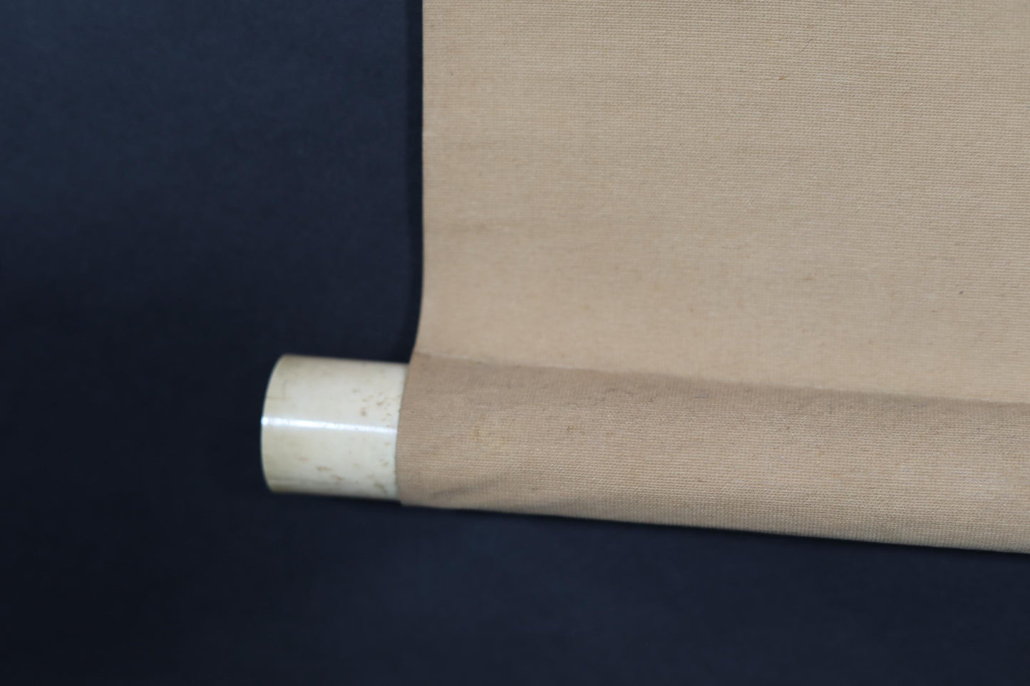 Japanese Antique Scroll - Signed Kakejiku Carp Painting | Edo Period Watercolor Art