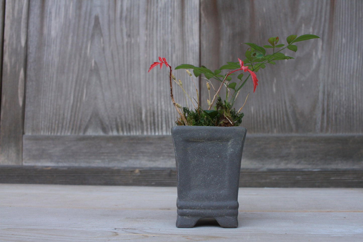 Mini Bonsai Pot - Japanese Vintage Matte Black Ceramic Square Planter with Kanji Signature