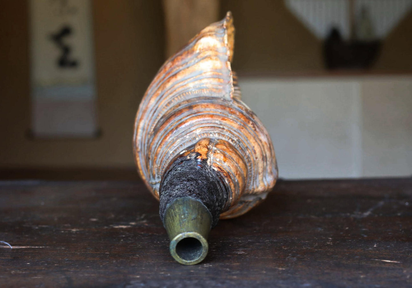 Japanese Conch Shell Horn – Antique Horagai Trumpet With Handcrafted Brass Mouthpiece