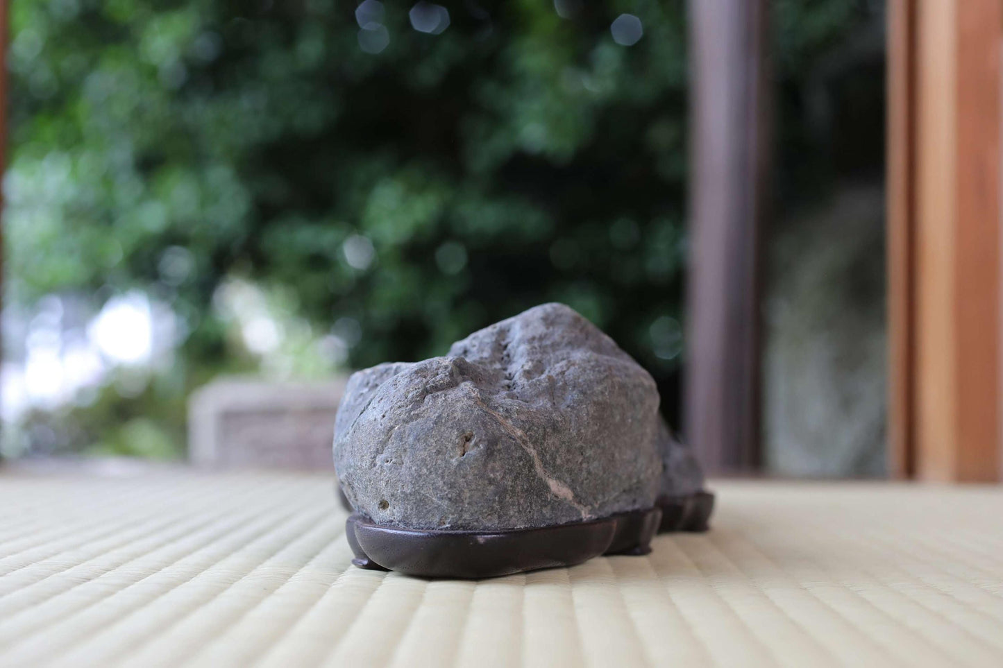 A large gray rock sits on a wooden surface, with a blurred natural background.