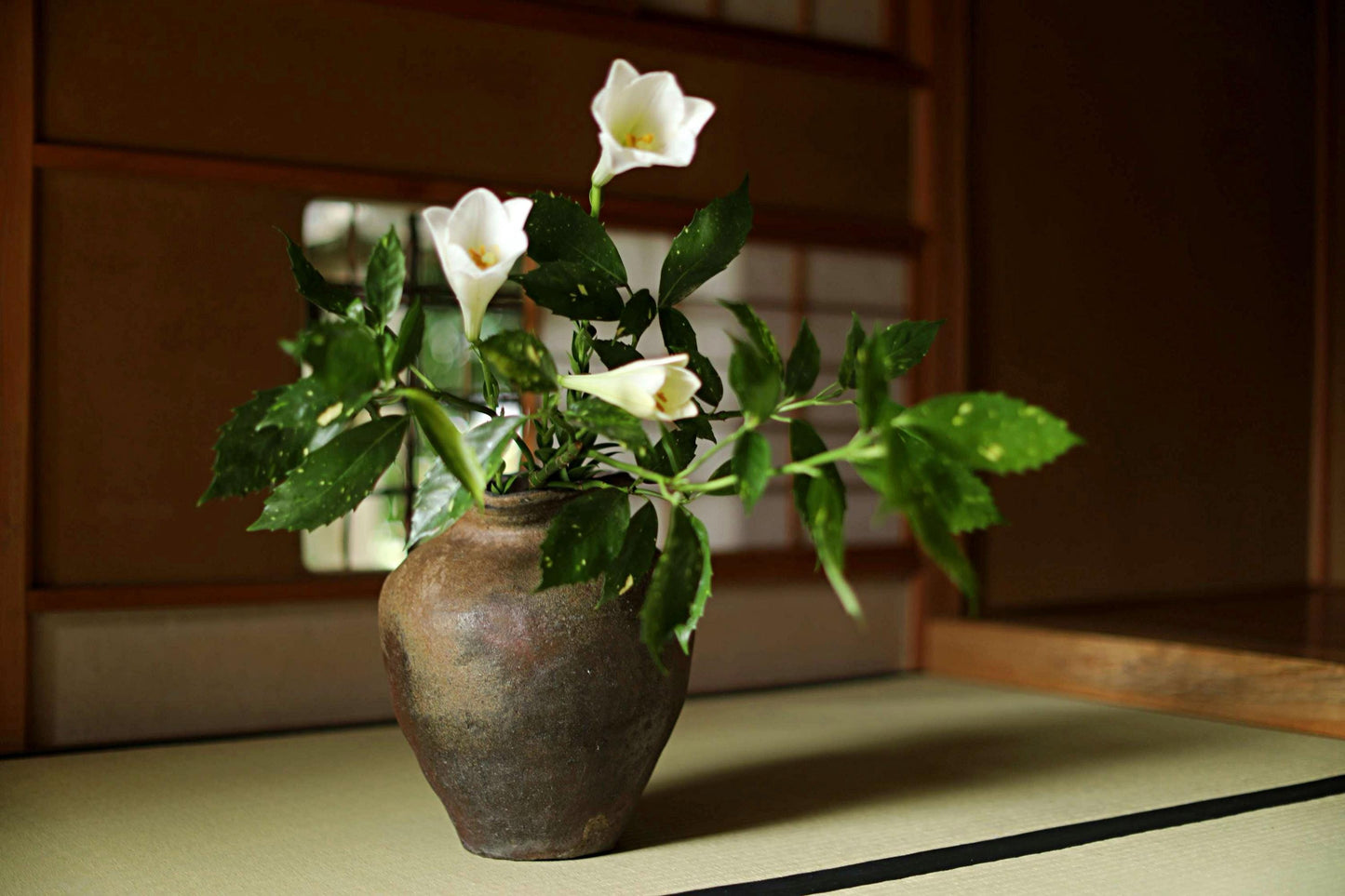 A brown vase filled with white flowers and green leaves sits on a wooden surface, with a window and wooden paneling visible in the background.