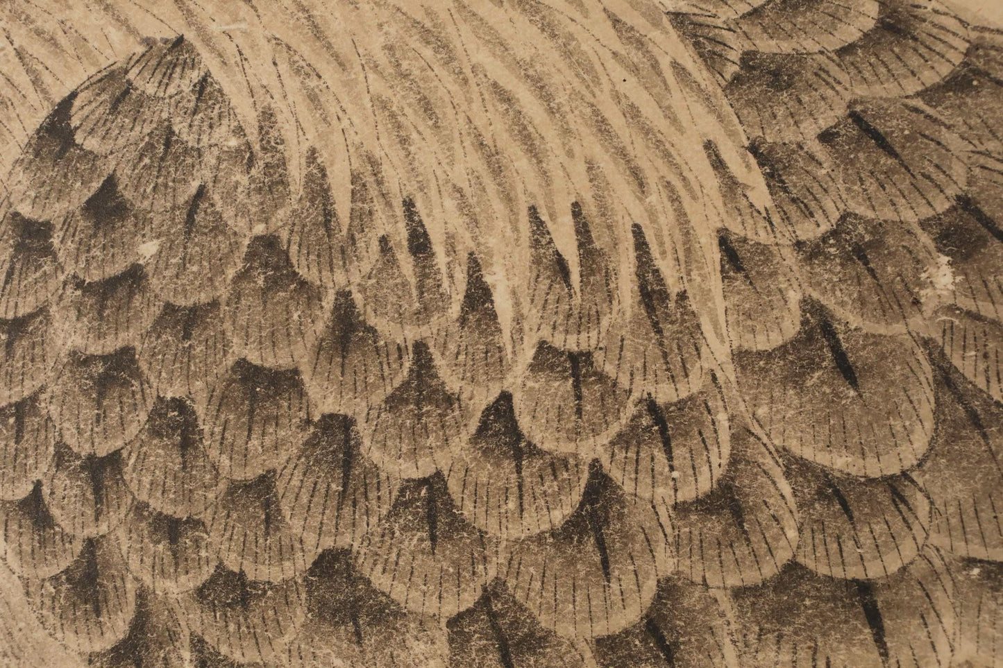 The image is a close-up of a detailed, intricate pattern of overlapping scales or feathers, creating a textured and visually striking appearance.
