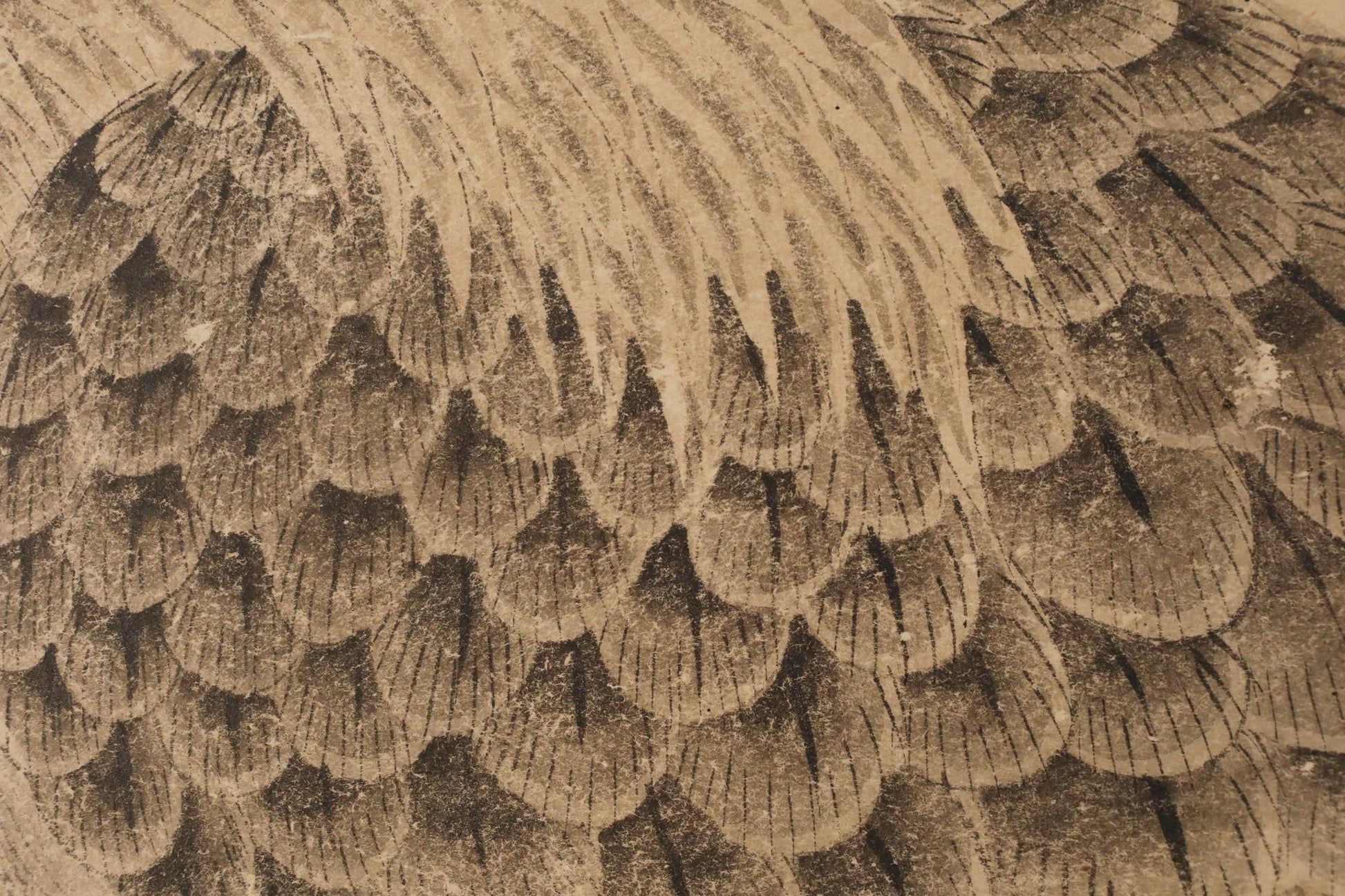 The image is a close-up of a detailed, intricate pattern of overlapping scales or feathers, creating a textured and visually striking appearance.