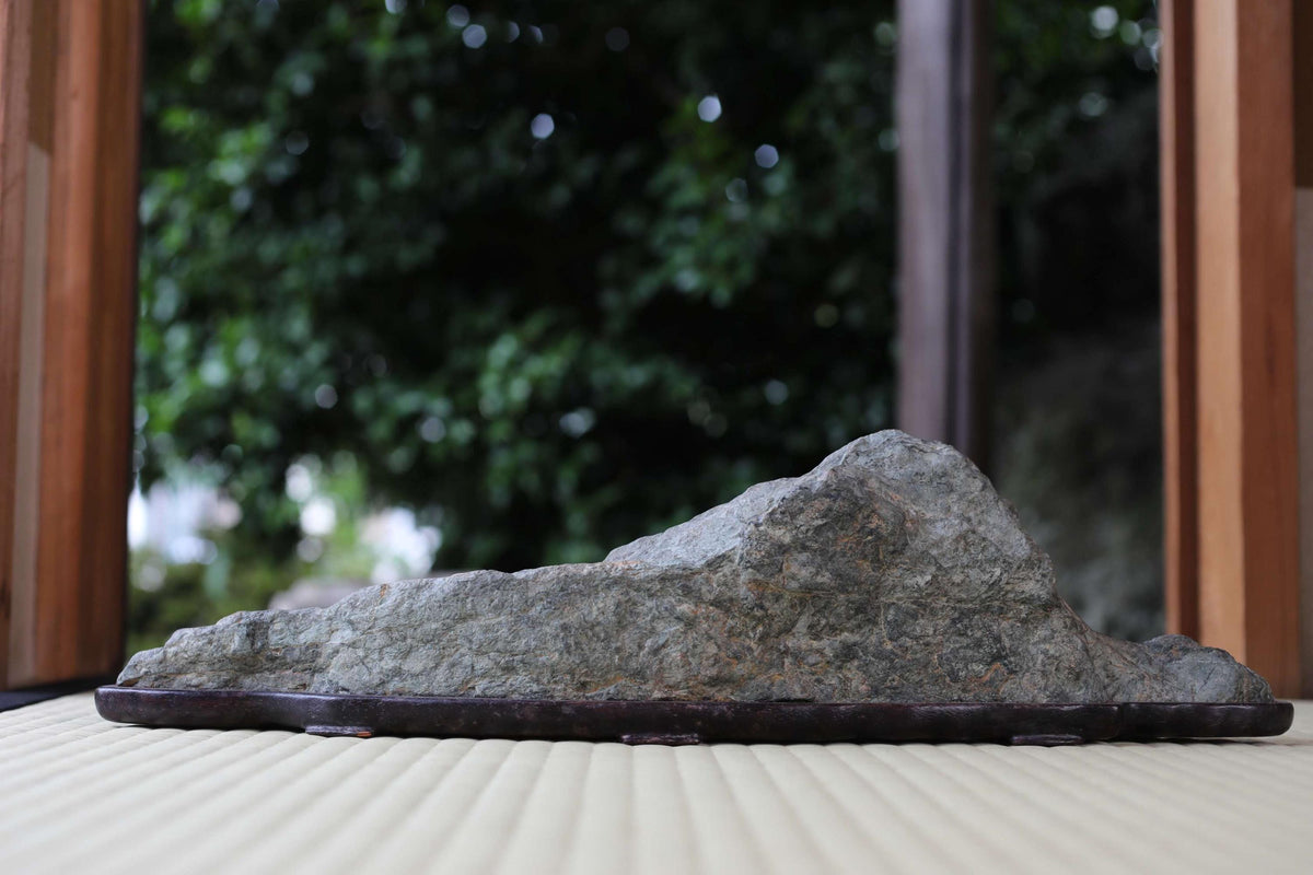 A large, gray rock sits on a wooden base, with a blurred background of trees and foliage.