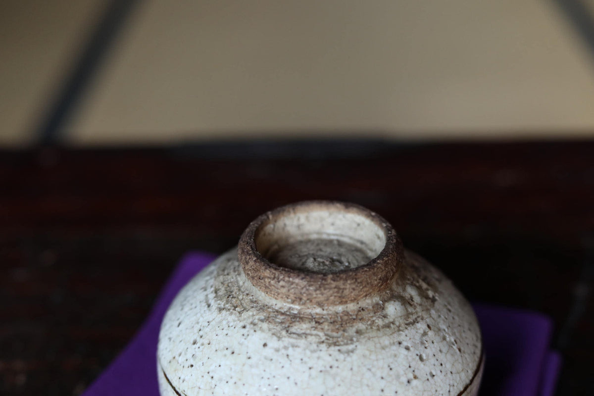 A close-up view of a white ceramic bowl with a brown rim, placed on a purple surface.