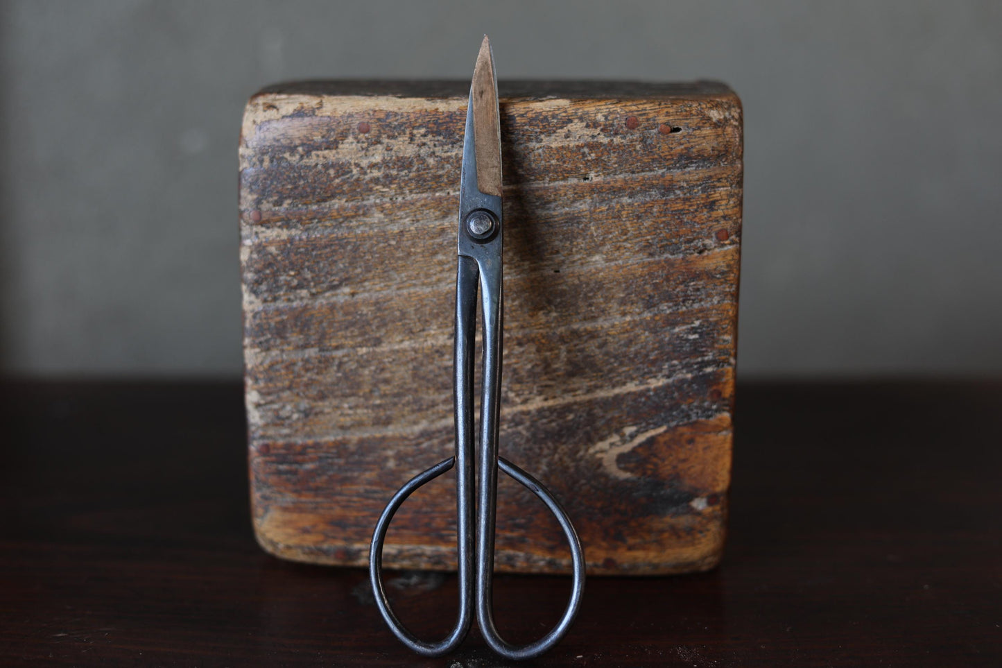 Japanese Bonsai Shears – Satsuki Hasami Ikebana Tool With High Grade Steel