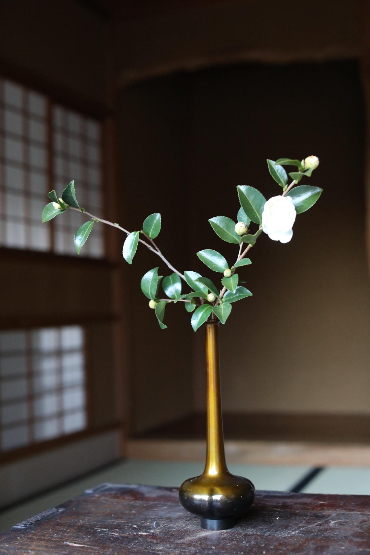 A small gold vase holds a branch with green leaves and a white flower, placed on a wooden surface against a blurred background.